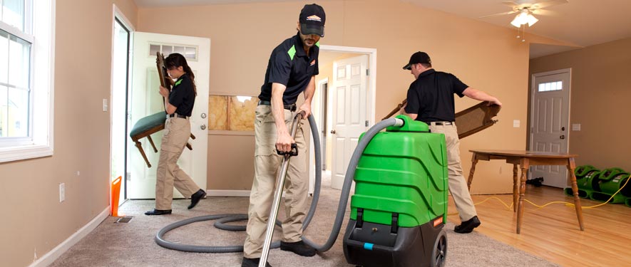 Browning , TX cleaning services